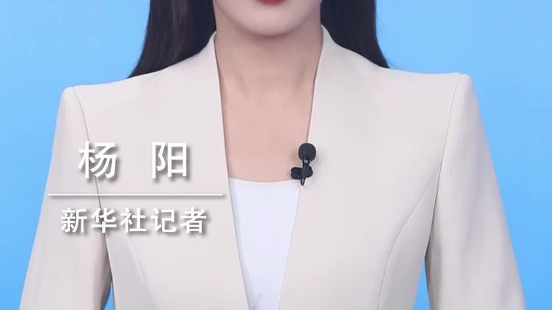 构建高效互联网技术学习路线图：从入门到精通**